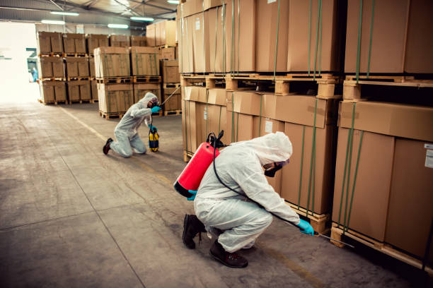 Best Pest Inspection Near Me  in Montegut, LA