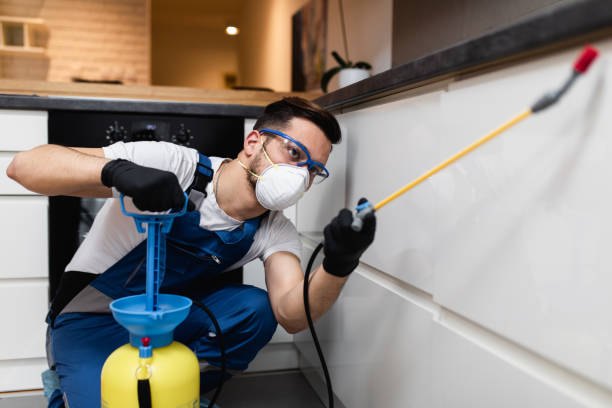 Best Emergency Pest Control  in Montegut, LA