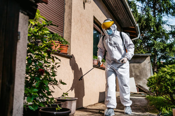 Best Bed Bug Extermination  in Montegut, LA