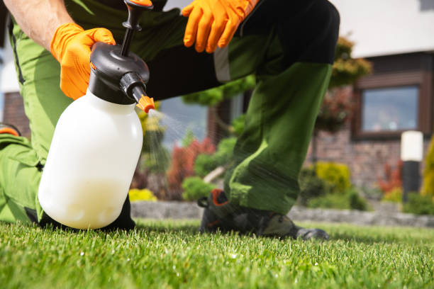 Pest Prevention Services in Montegut, LA