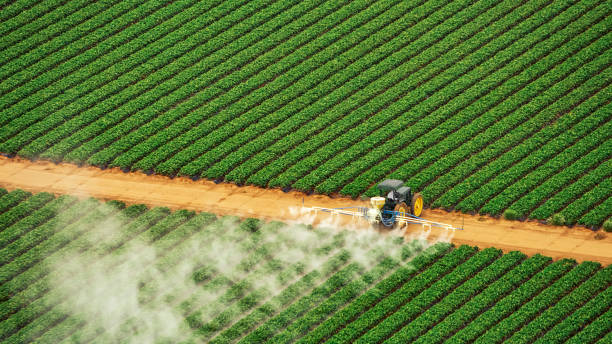 Pest Control Cost in Montegut, LA