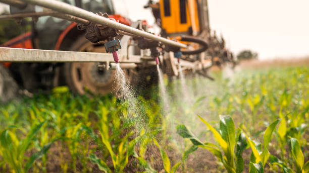 Best Mosquito Control Services  in Montegut, LA